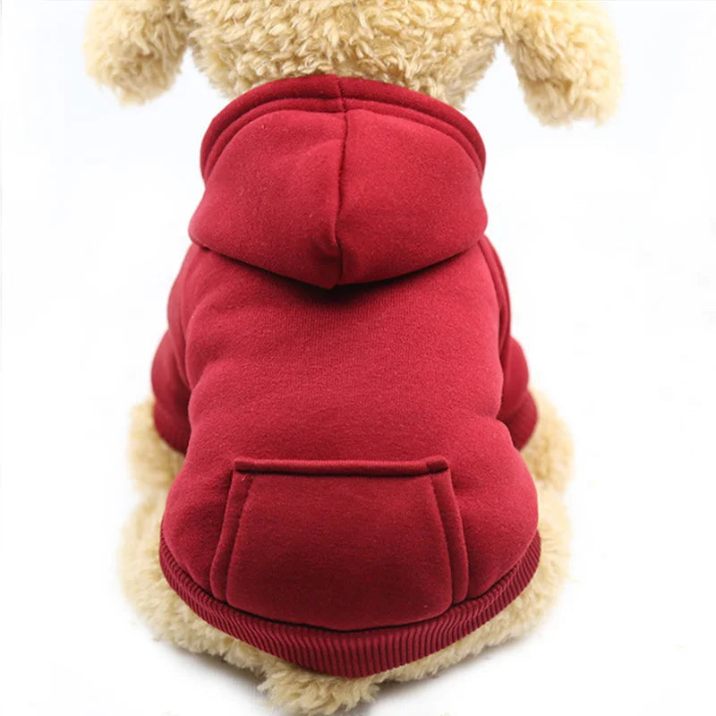Warm colorful hoodie for small dogs