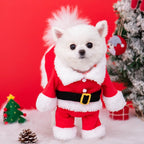 Pawsome santa outfit for small dogs