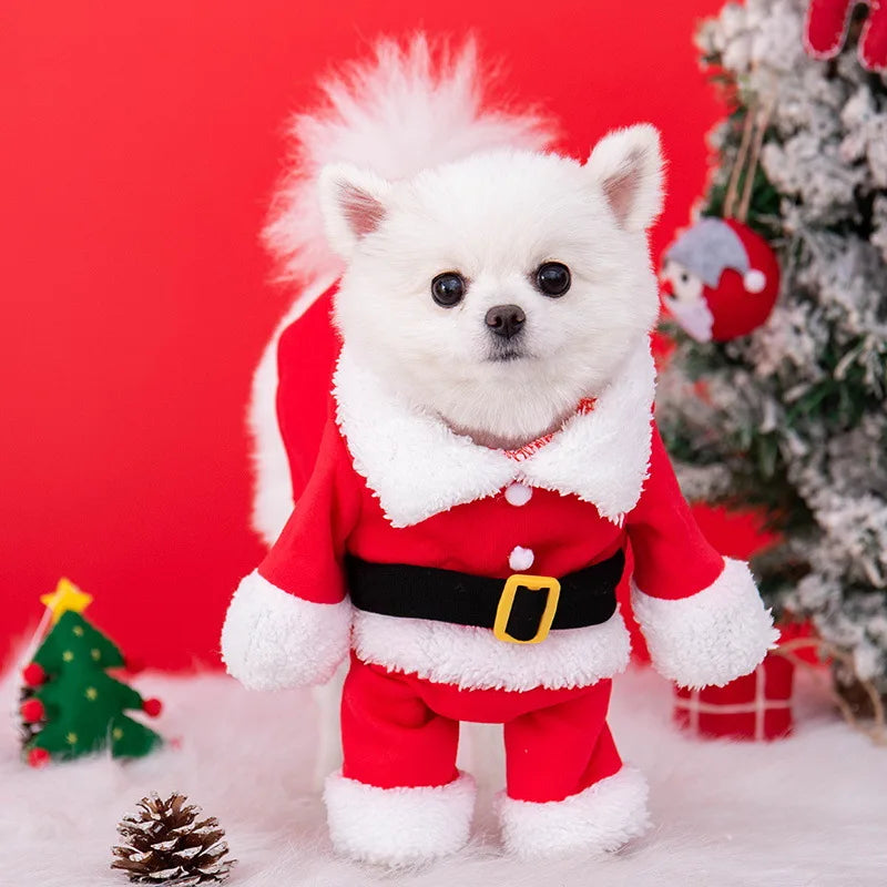Pawsome santa outfit for small dogs