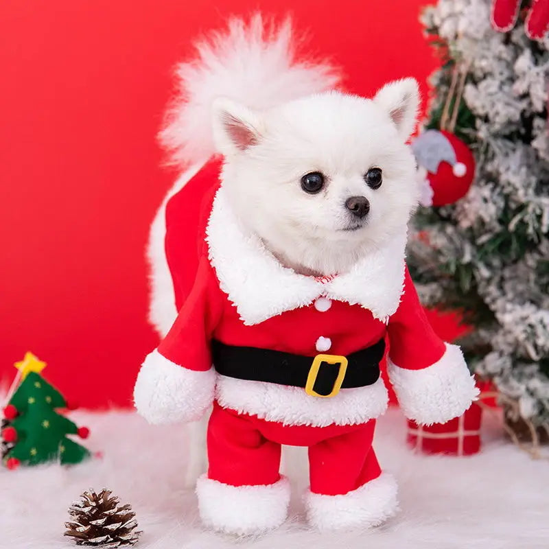 Pawsome santa outfit for small dogs
