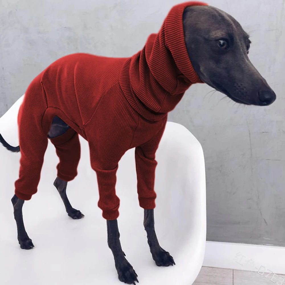 Autum Greyhound Dog onesie