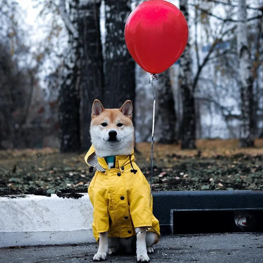 Waterproof Puppy Raincoat for small and medium breeds