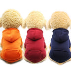Warm colorful hoodie for small dogs