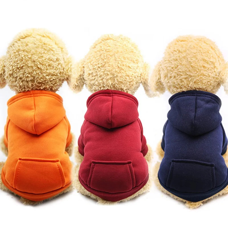 Warm colorful hoodie for small dogs