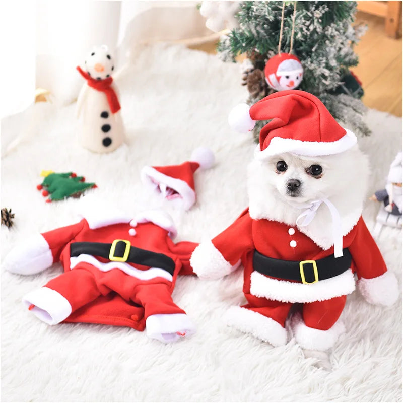 Pawsome santa outfit for small dogs
