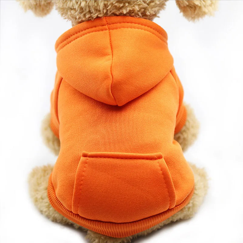 Warm colorful hoodie for small dogs