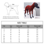 Autum Greyhound Dog onesie