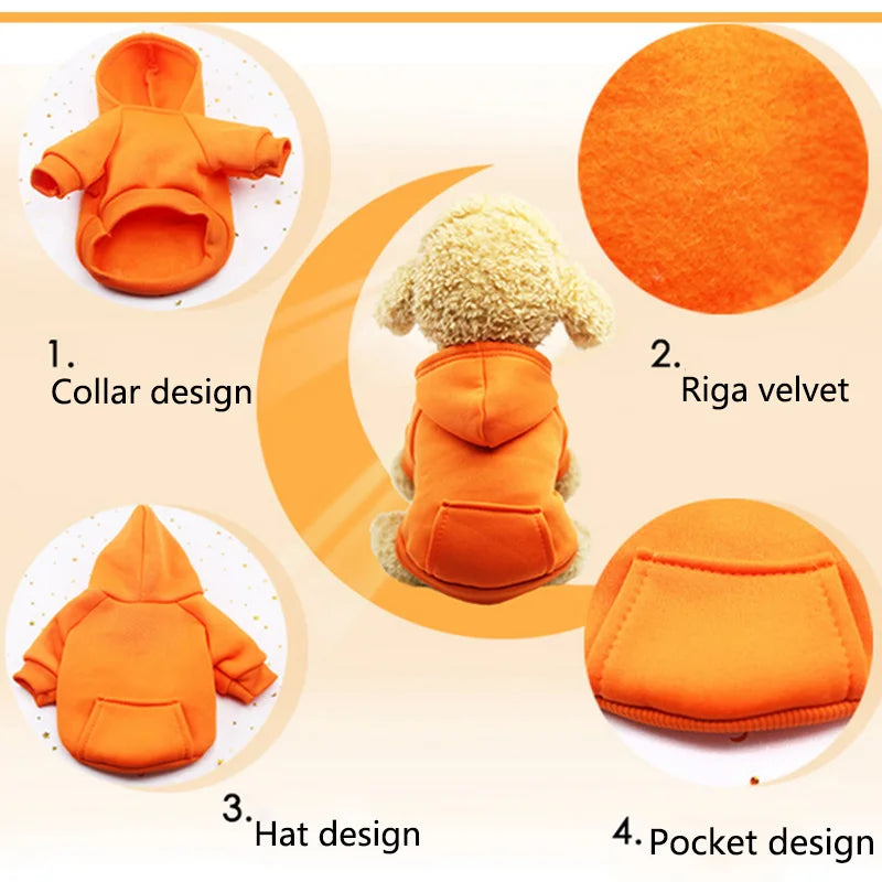 Warm colorful hoodie for small dogs