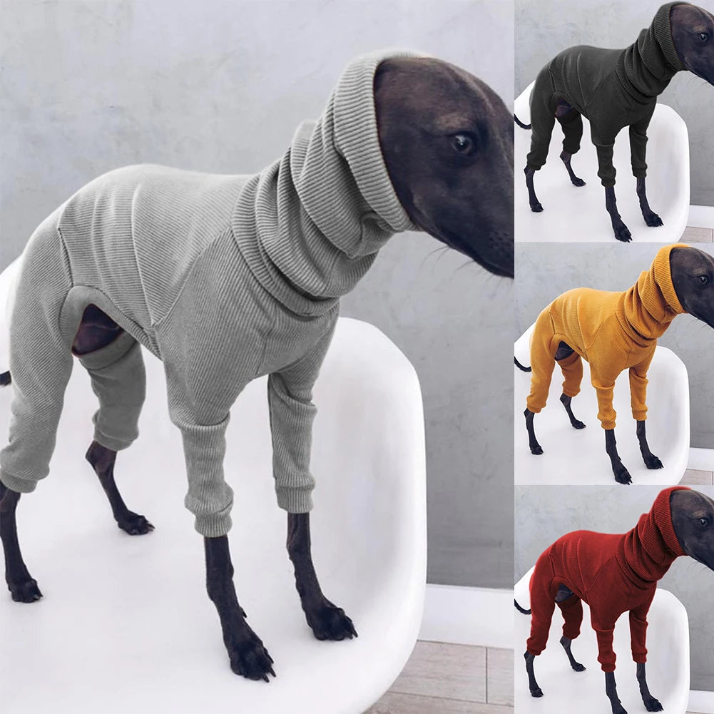 Autum Greyhound Dog onesie