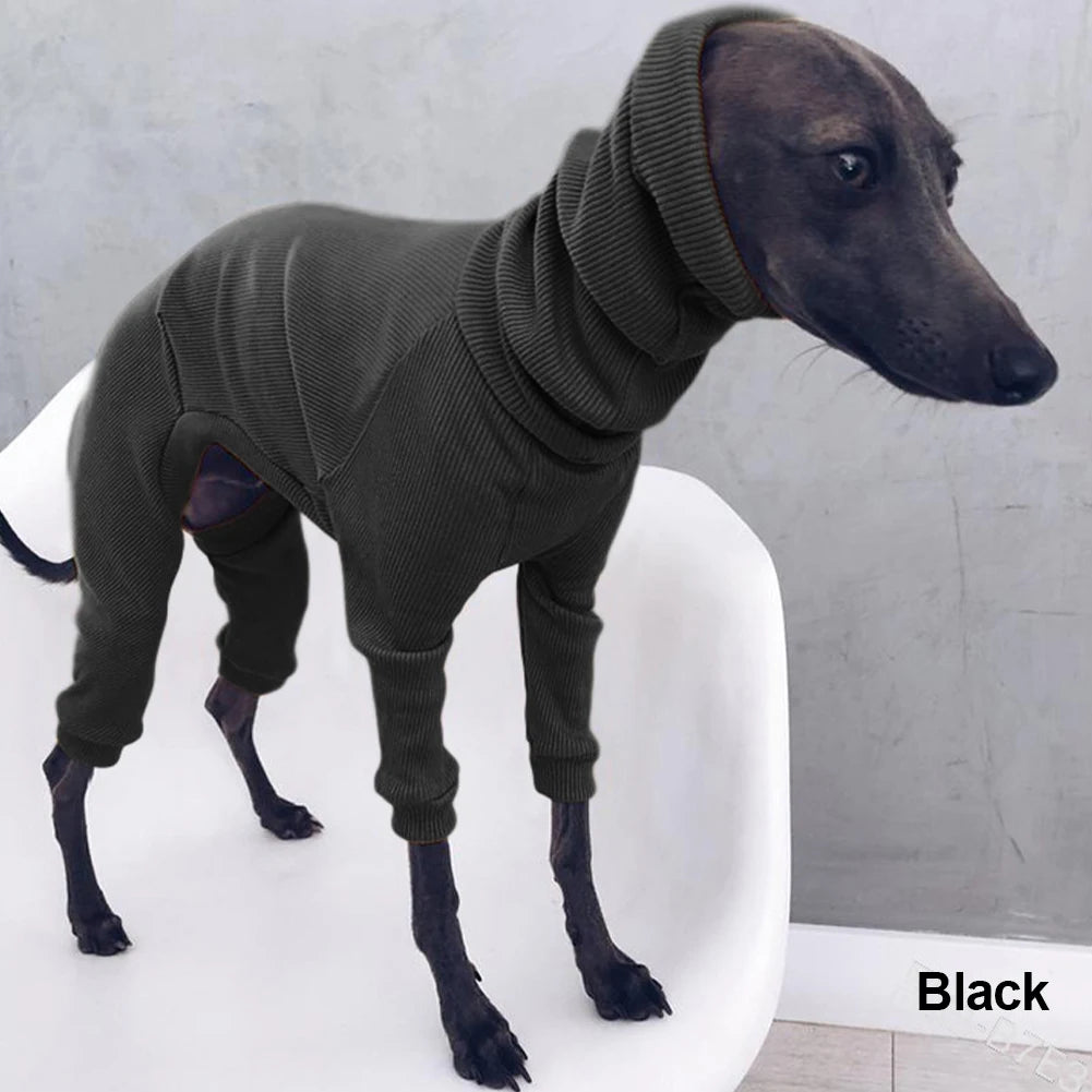 Autum Greyhound Dog onesie