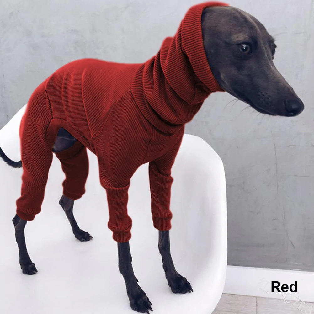 Autum Greyhound Dog onesie