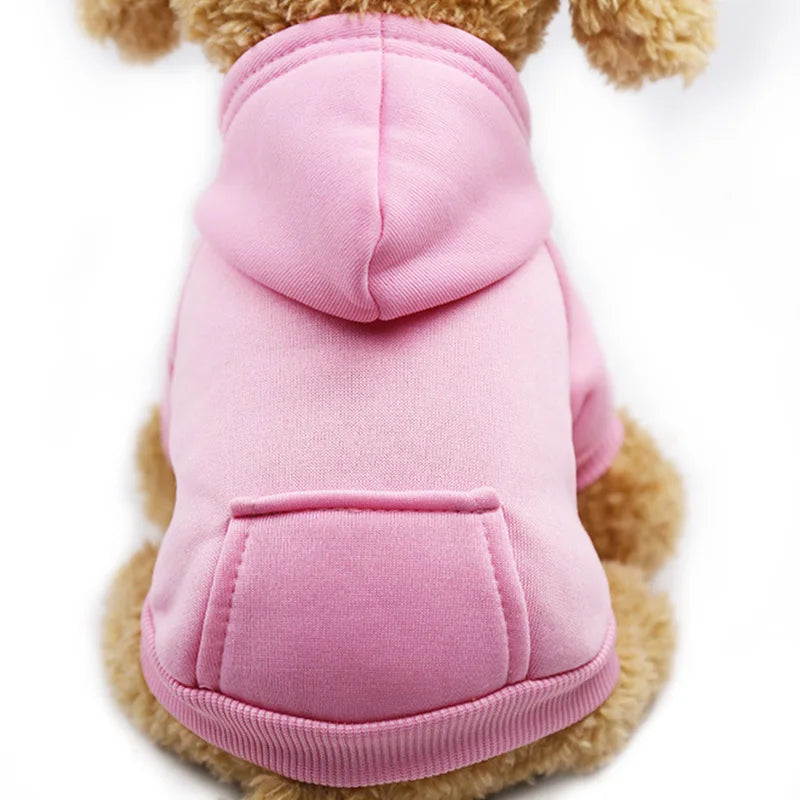Warm colorful hoodie for small dogs