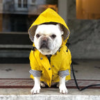 Waterproof Puppy Raincoat for small and medium breeds