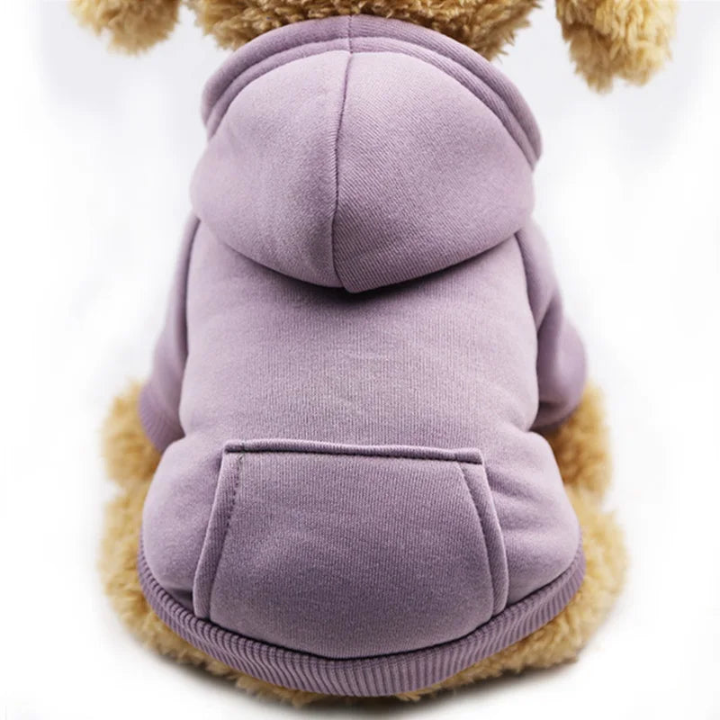 Warm colorful hoodie for small dogs