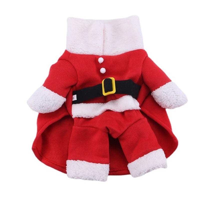 Pawsome santa outfit for small dogs