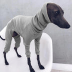 Autum Greyhound Dog onesie