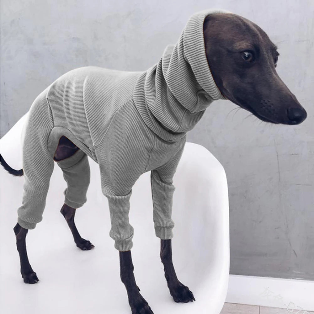 Autum Greyhound Dog onesie