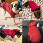 Warm colorful hoodie for small dogs