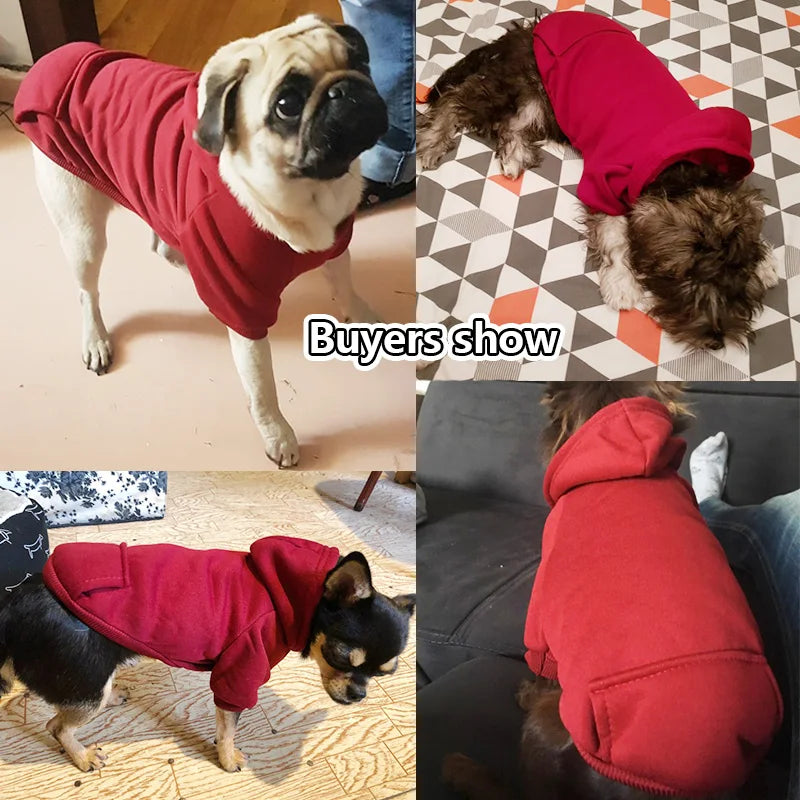 Warm colorful hoodie for small dogs