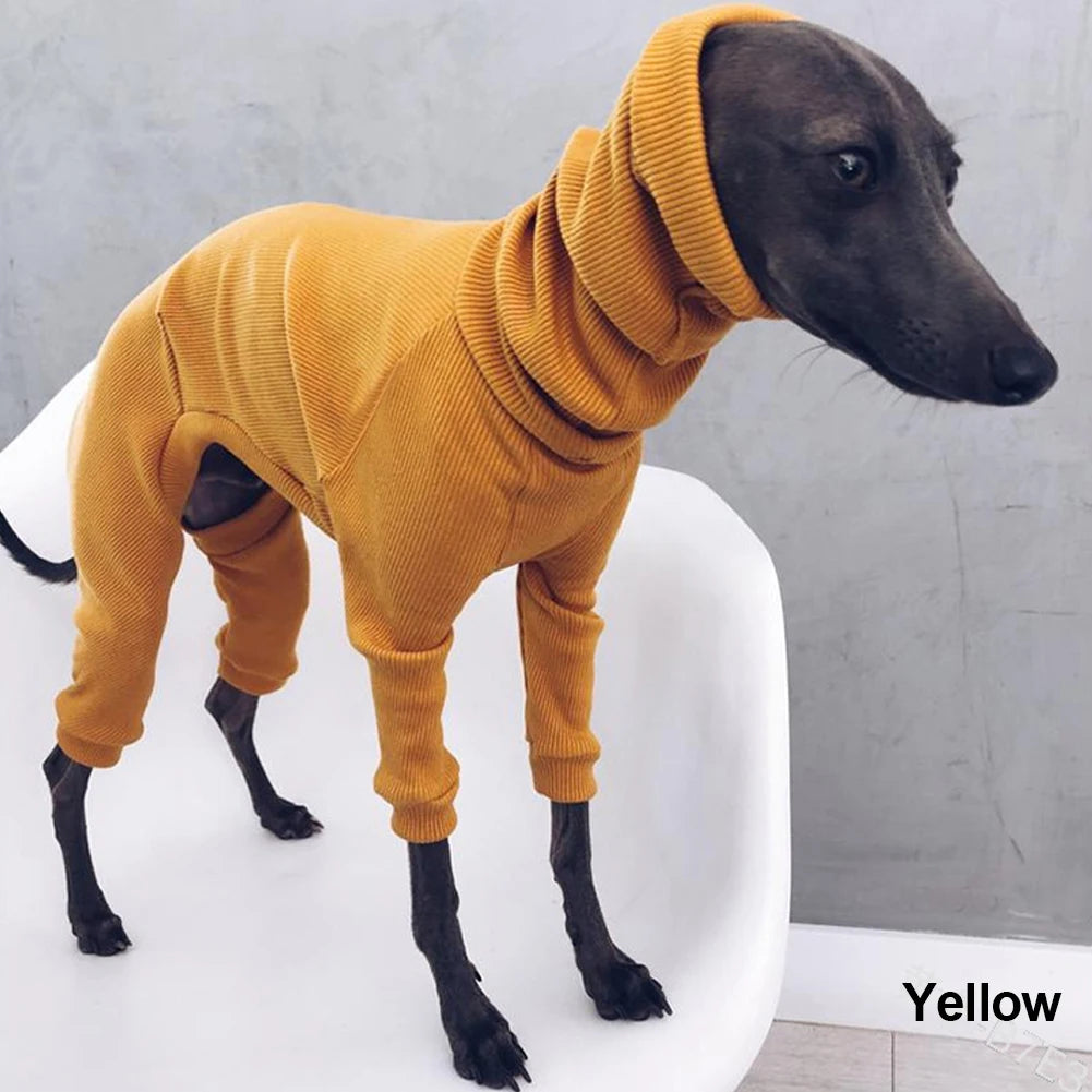 Autum Greyhound Dog onesie