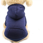 Warm colorful hoodie for small dogs