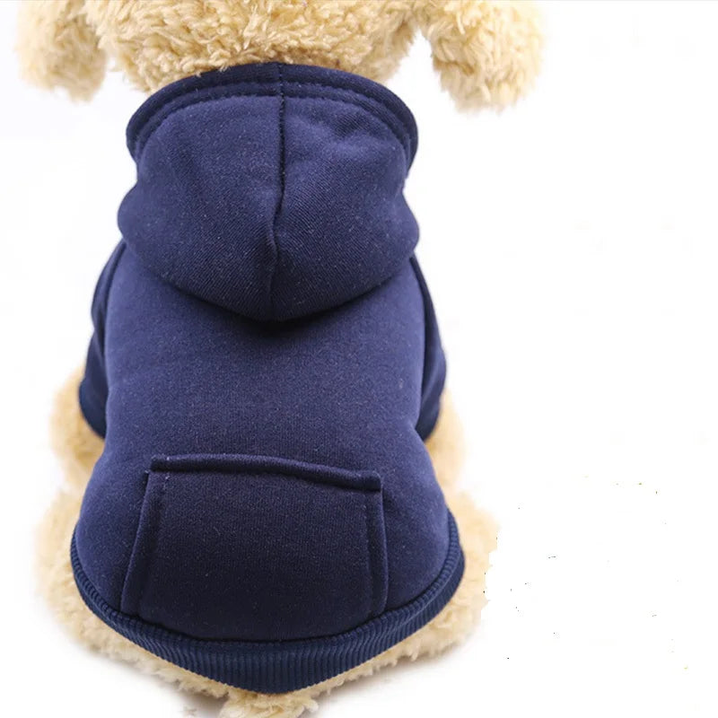 Warm colorful hoodie for small dogs