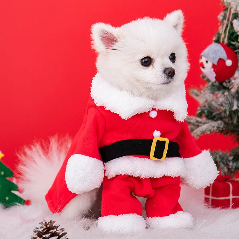 Pawsome santa outfit for small dogs