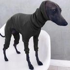 Autum Greyhound Dog onesie