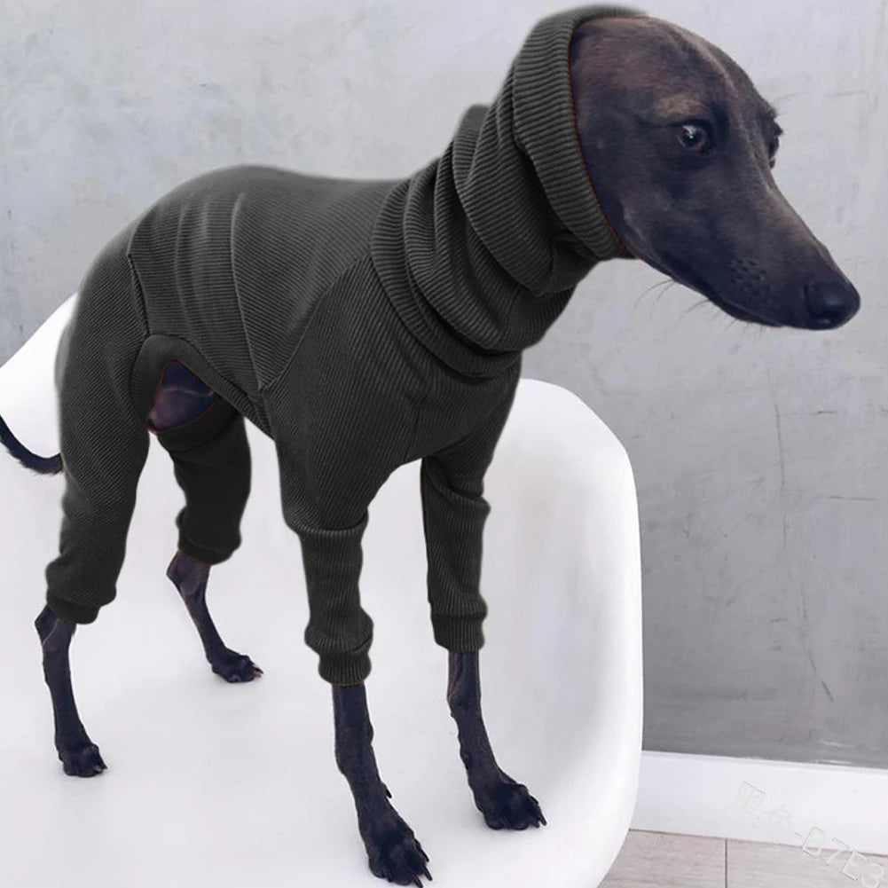 Autum Greyhound Dog onesie