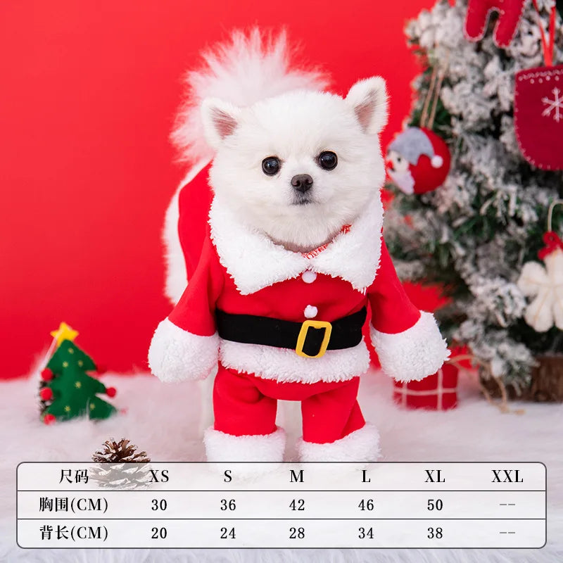 Pawsome santa outfit for small dogs