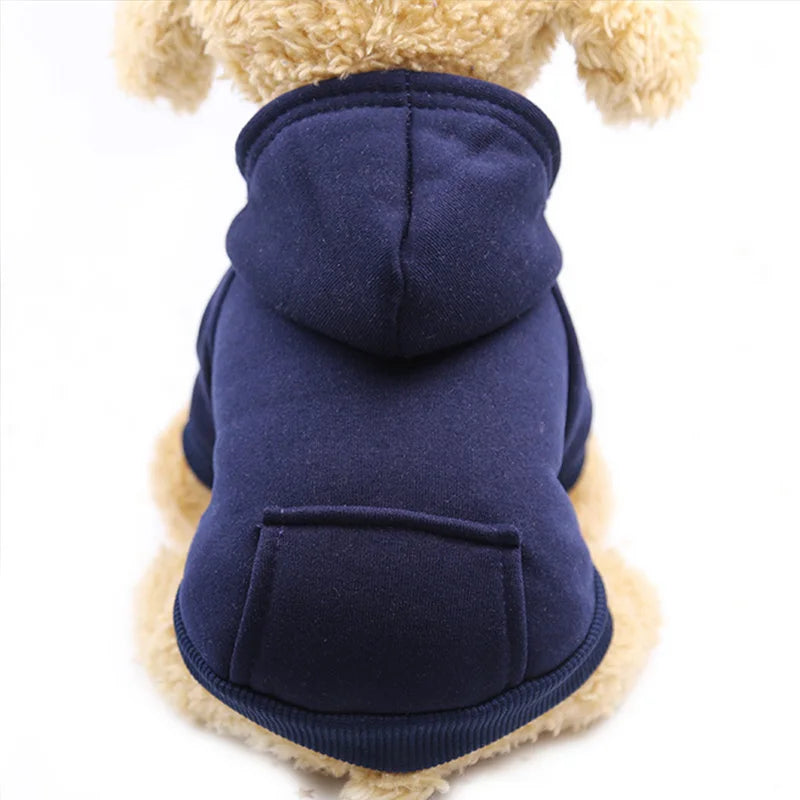Warm colorful hoodie for small dogs
