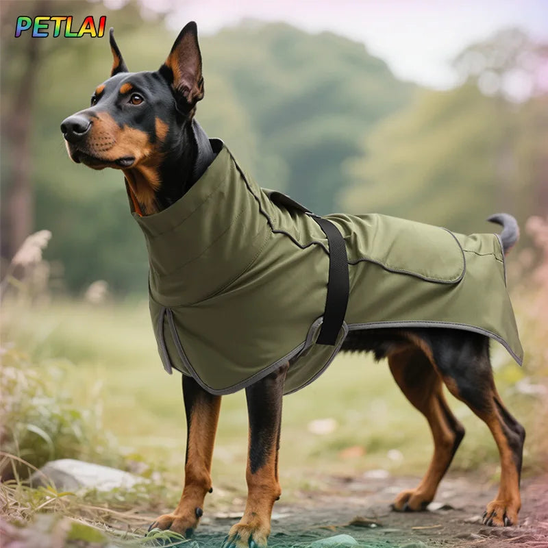 Waterproof outdoor jacket for large dogs