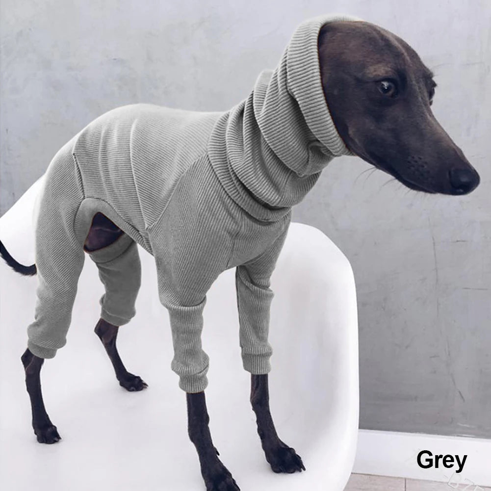 Autum Greyhound Dog onesie